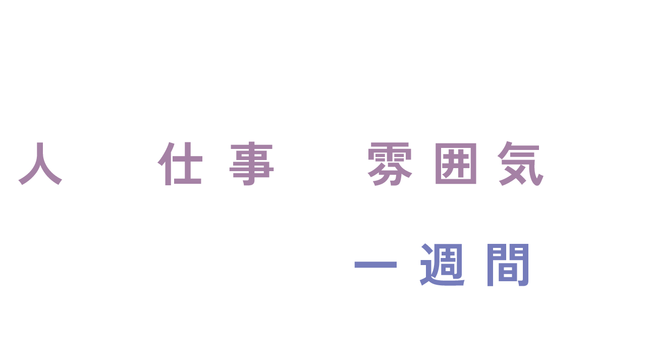 業務内容の説明、施設見学、業務の体験、職員との意見交換会など 人も仕事も雰囲気も知って深める5日間!